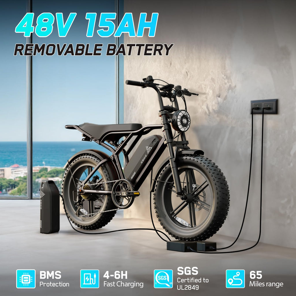 Fat Tire Electric Bike