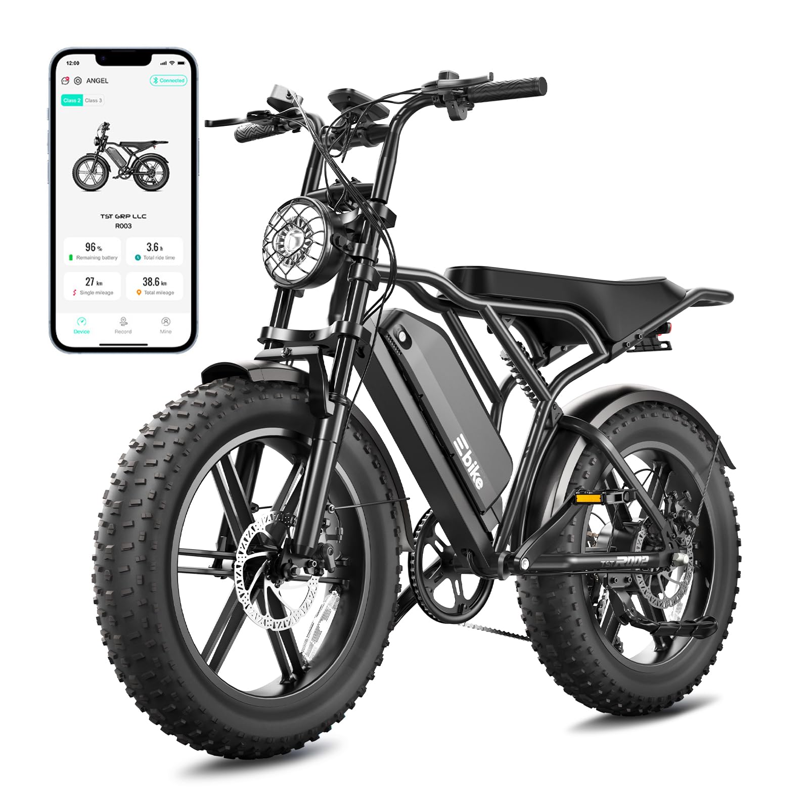 Fat Tire Electric Bike