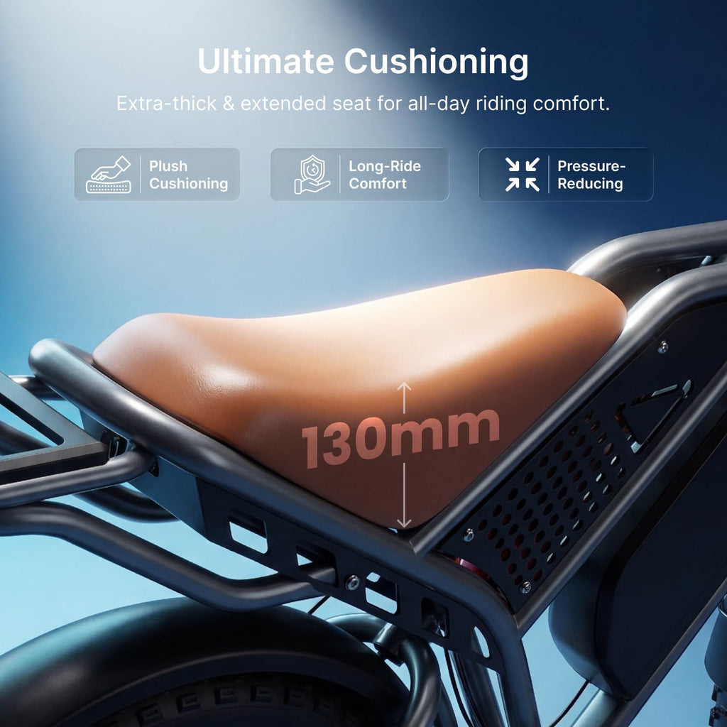 Fat Tire Electric Dirt Bike