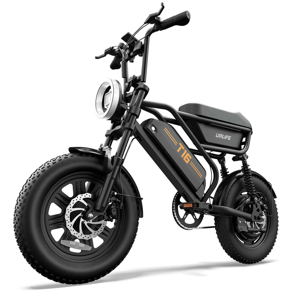 Fat Tire Electric Dirt Bike