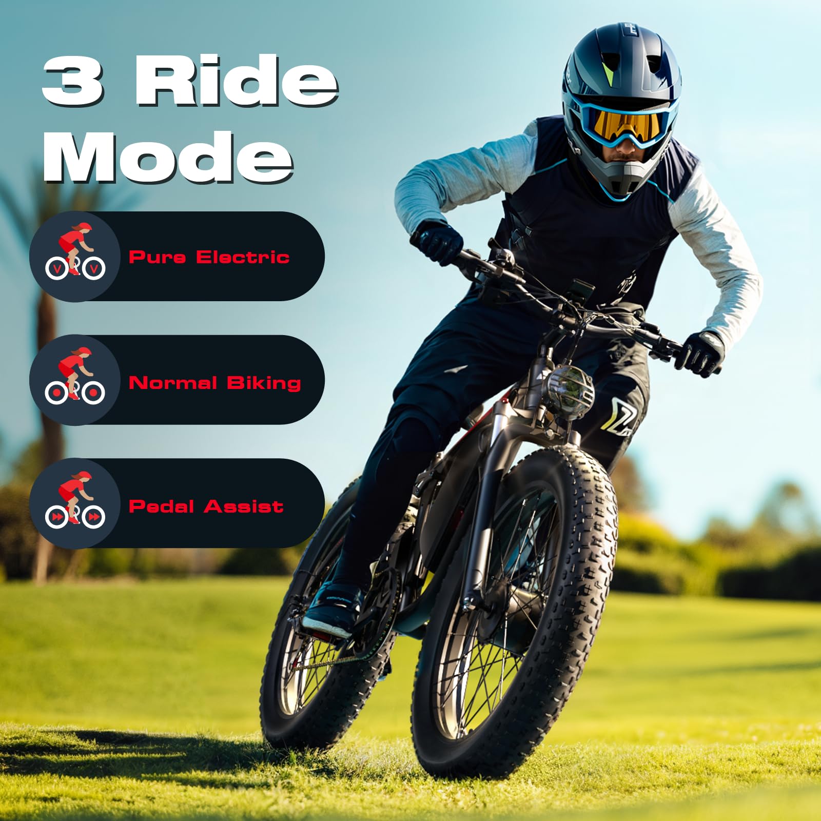 Dual Motor Fat Tire E-Bike