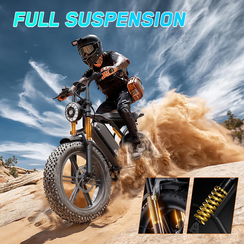 Fat Tire Electric Bike