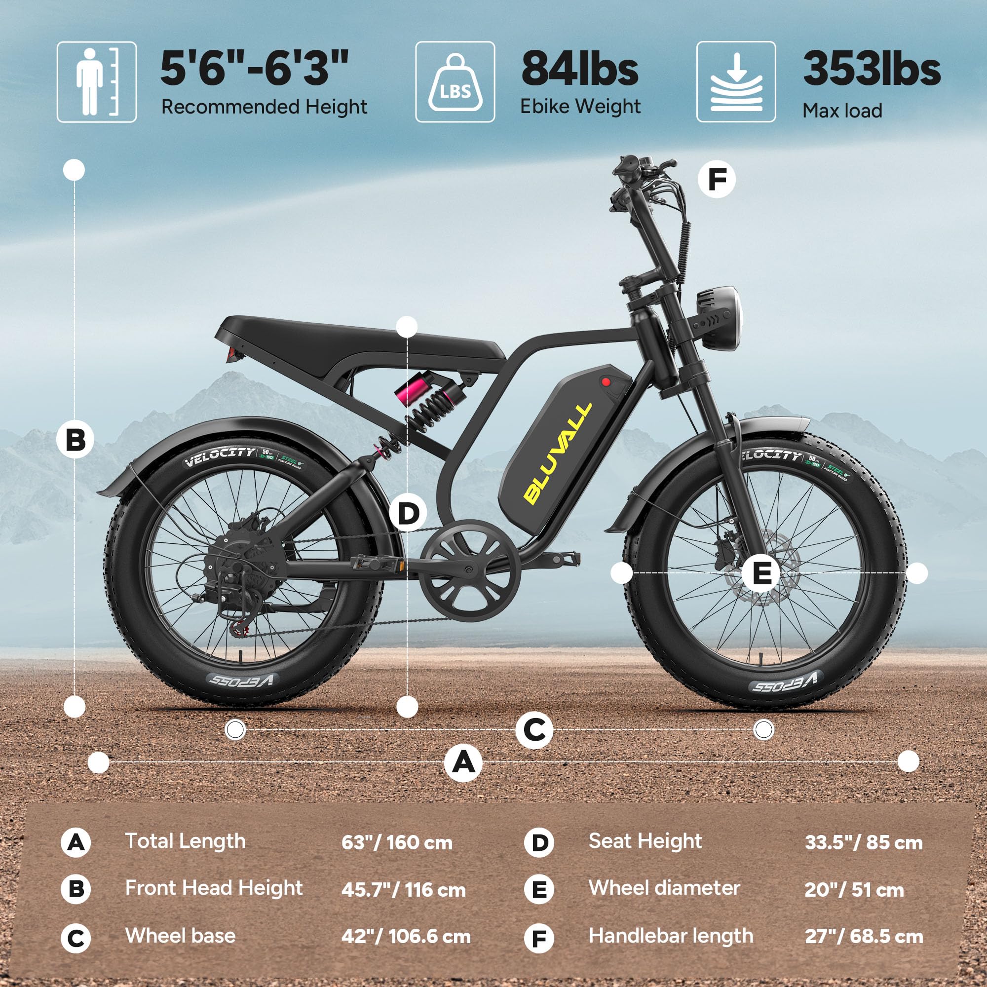 Fat Tire Electric Bike