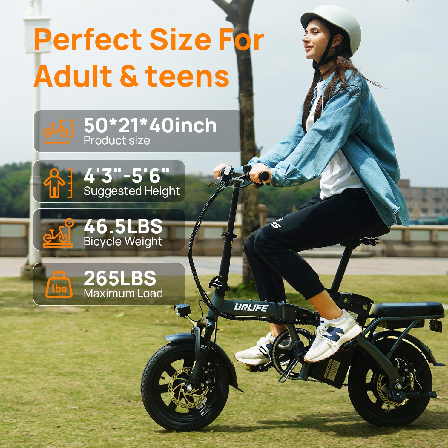 Mini Folding Electric Bike