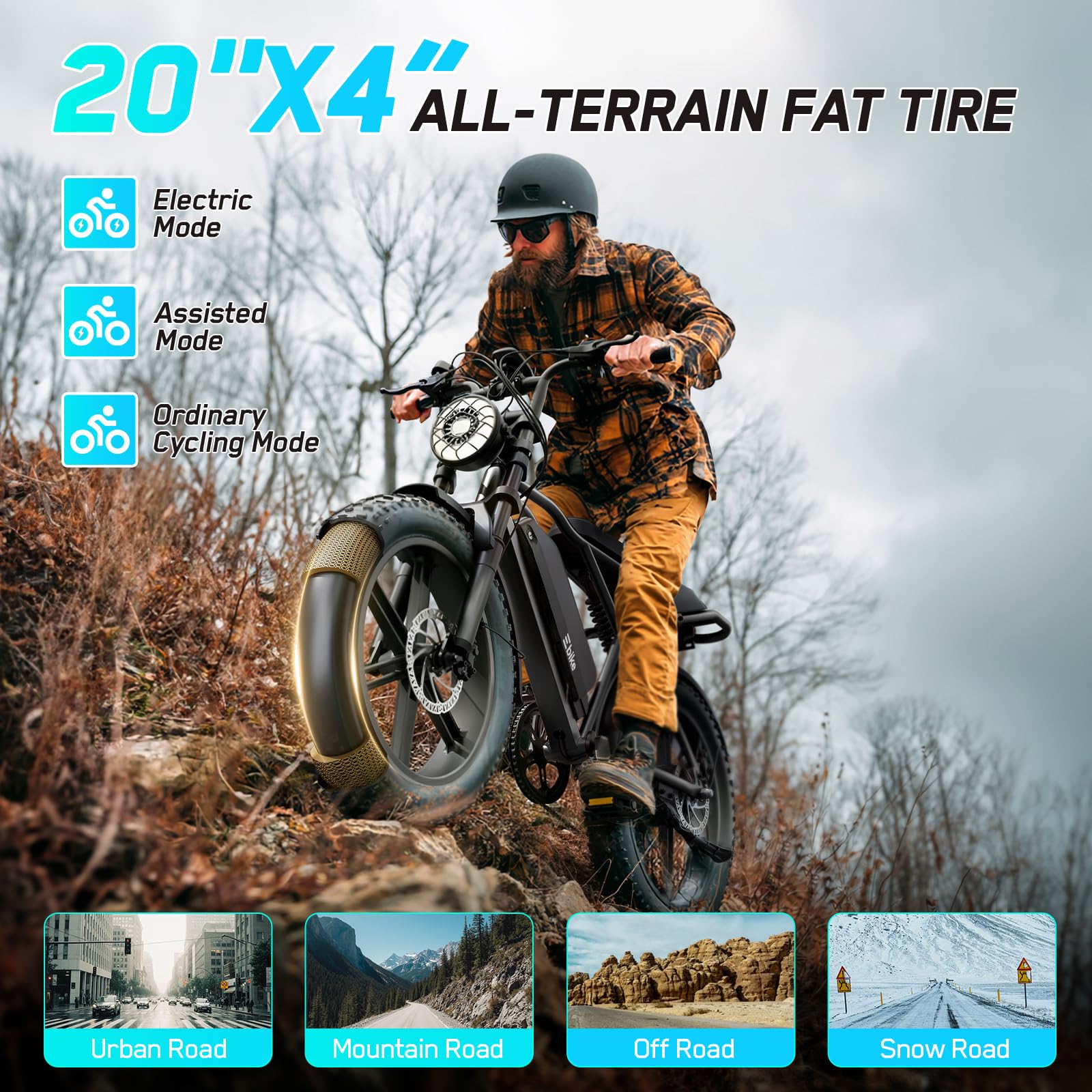 Fat Tire Electric Bike