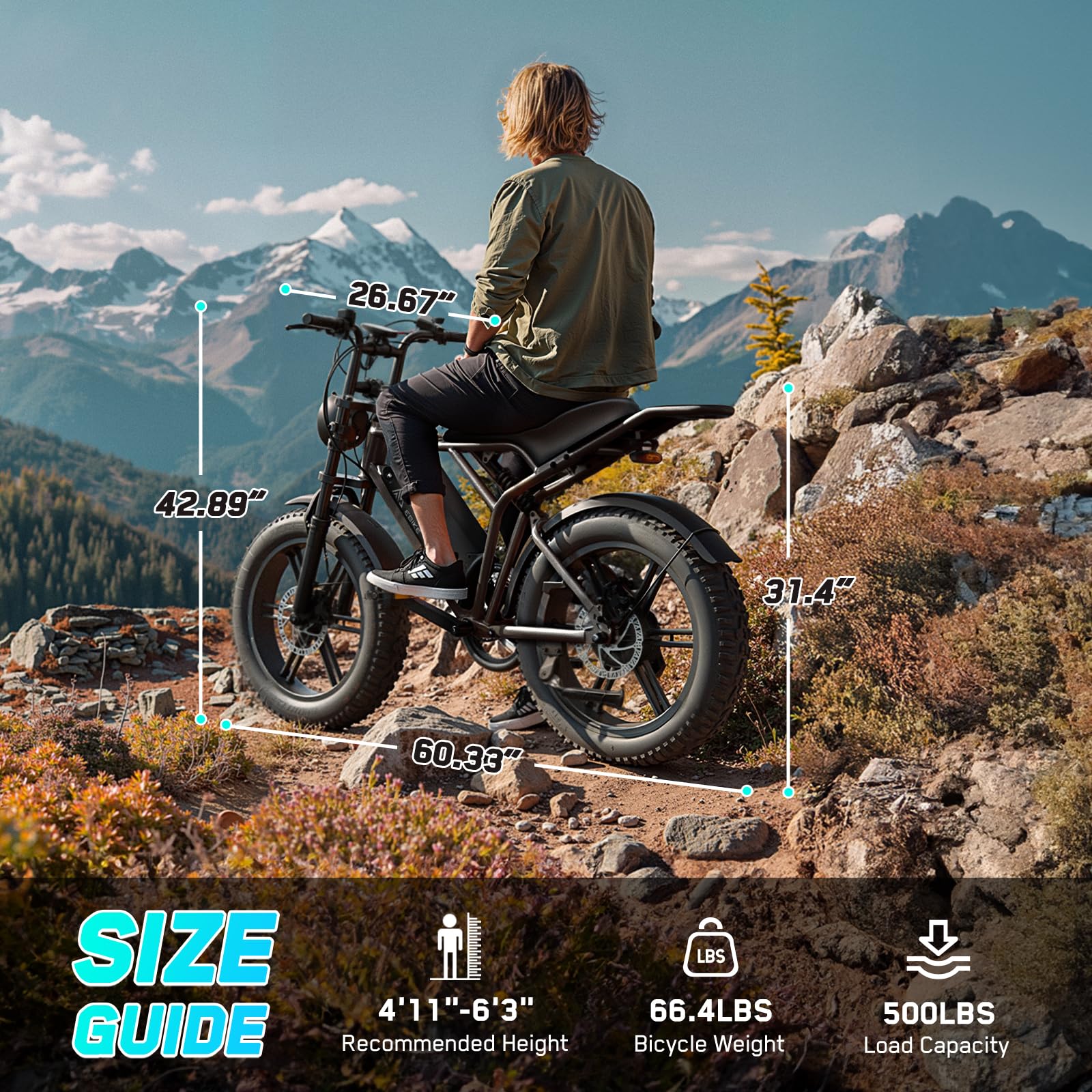 Fat Tire Electric Bike
