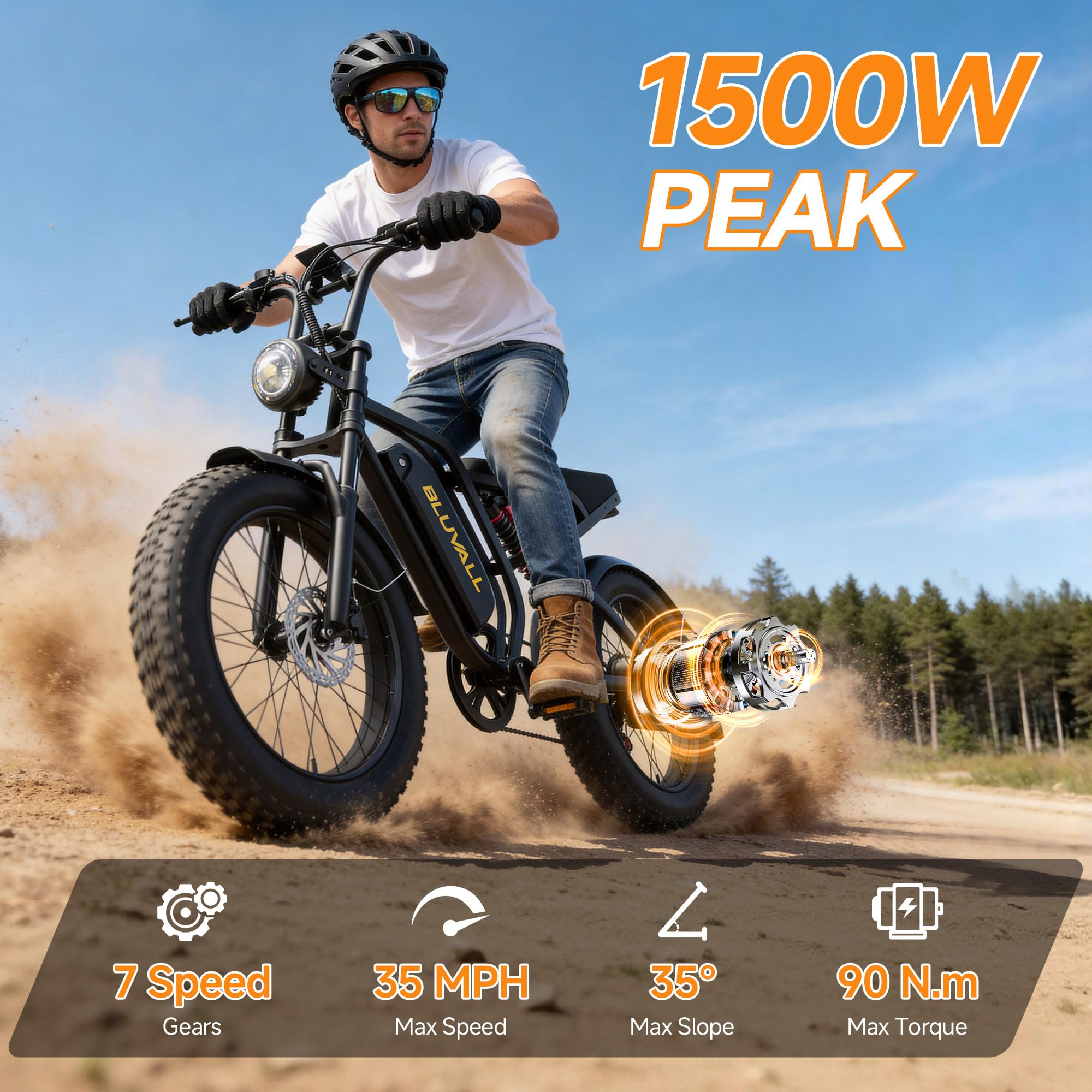Fat Tire Electric Bike
