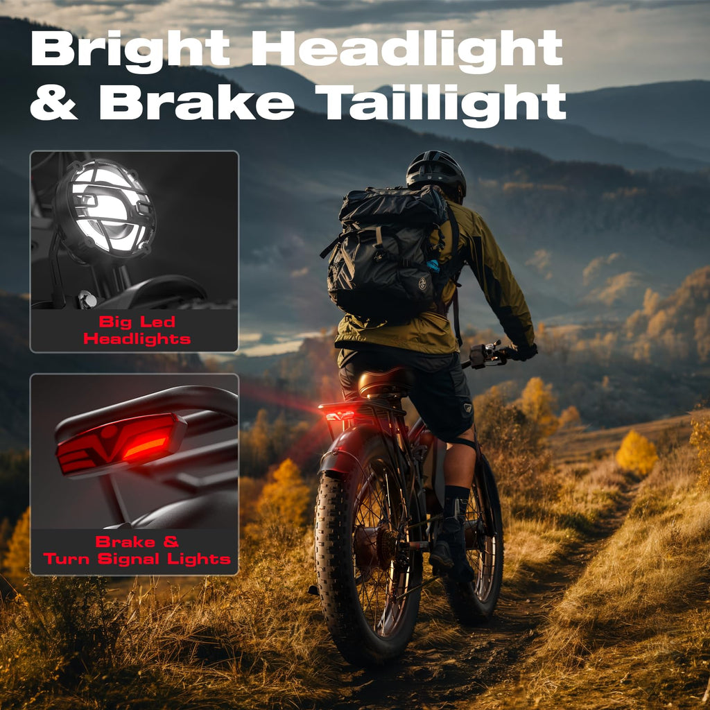 Dual Motor Fat Tire E-Bike