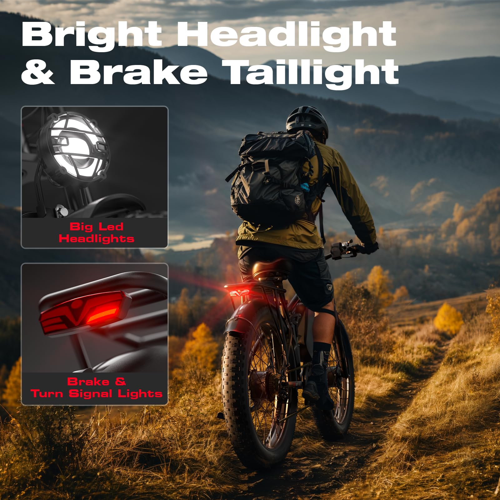 Dual Motor Fat Tire E-Bike