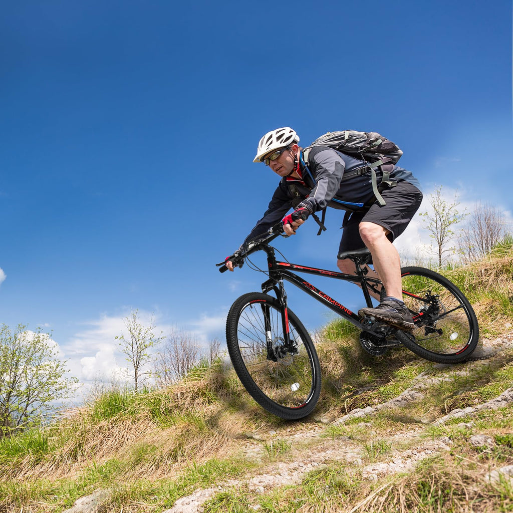 21-Speed Mountain Bike