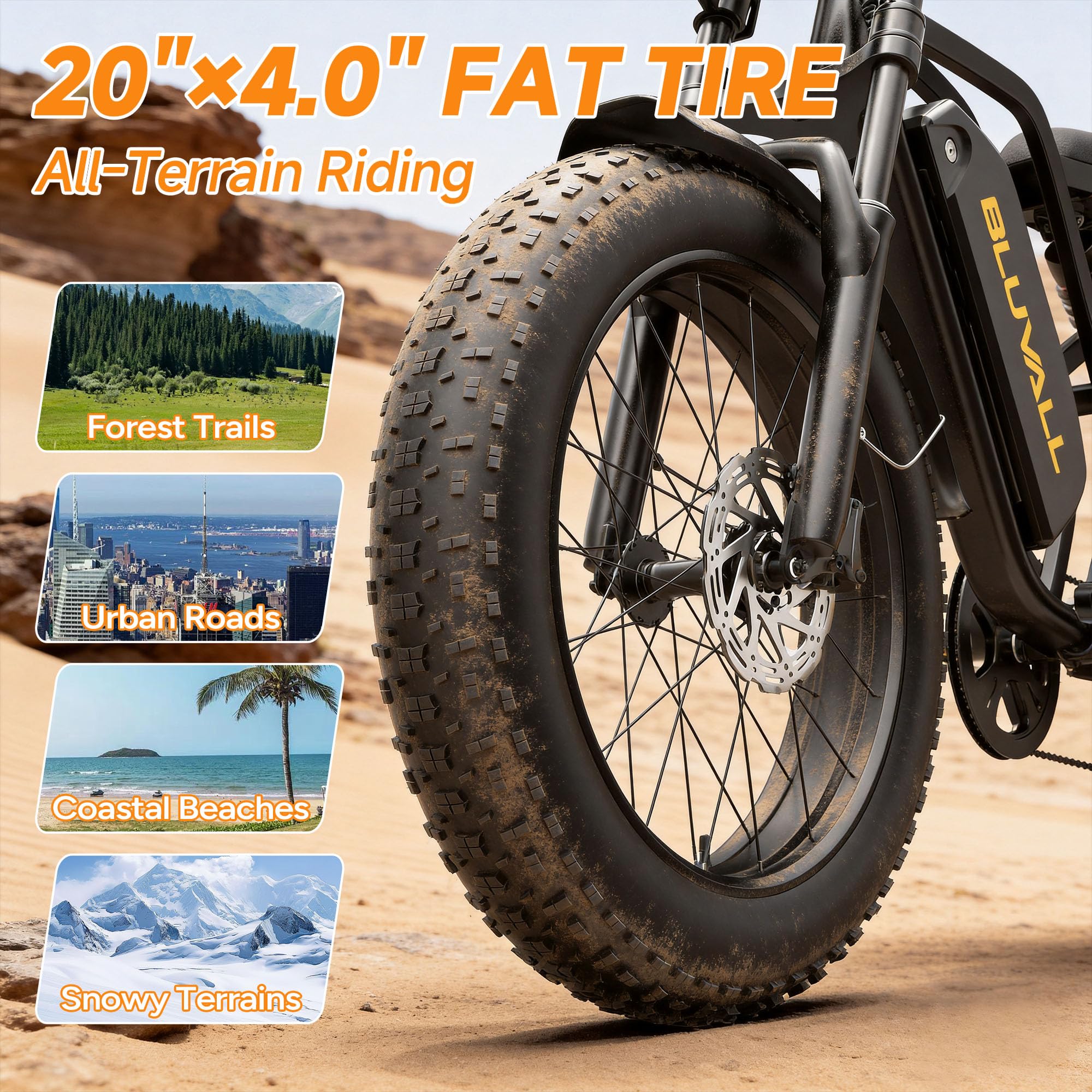 Fat Tire Electric Bike