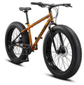 Fat Tire Mountain Bike